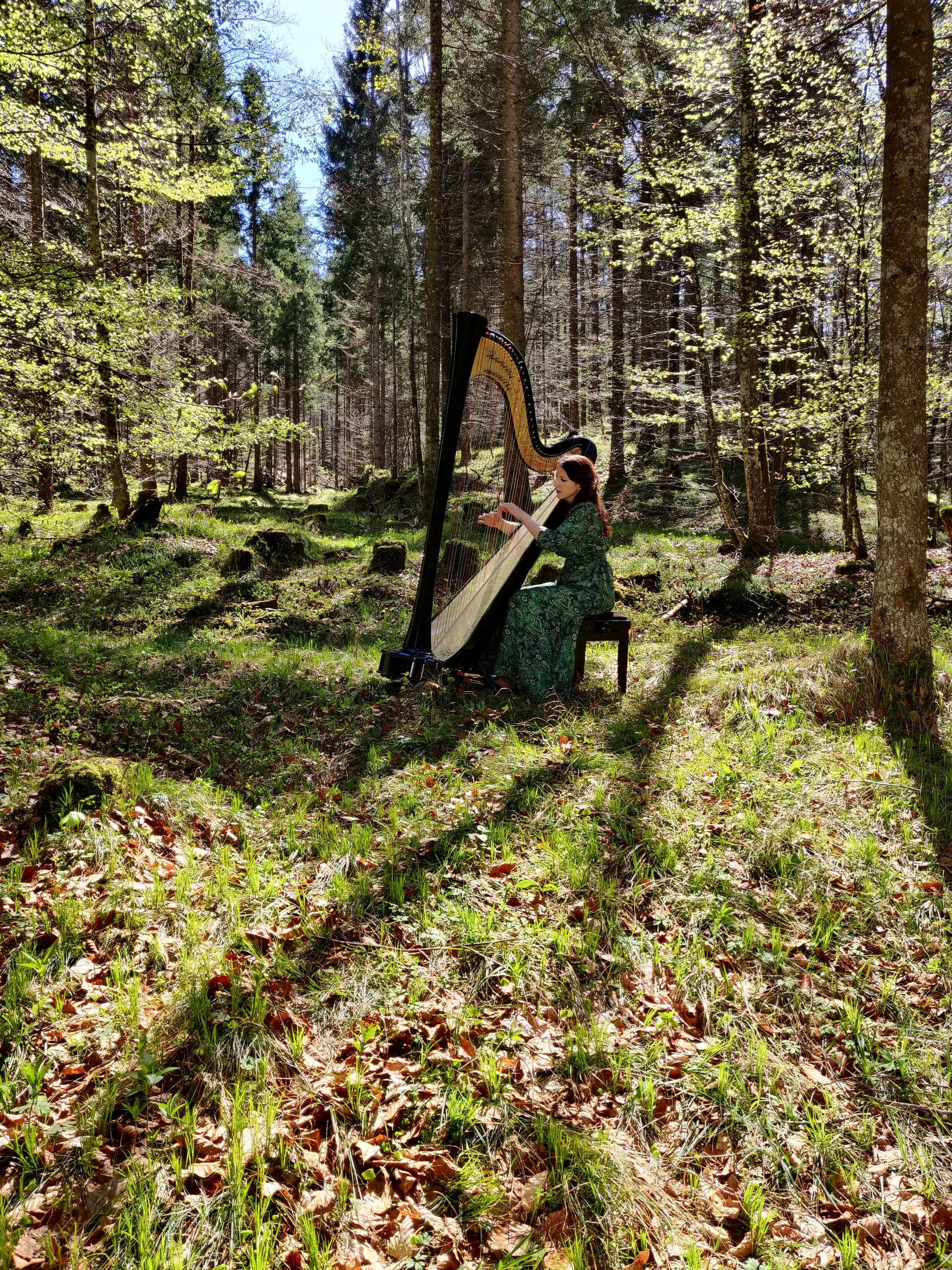 Harfenistin spielt in einem sonnigen Wald