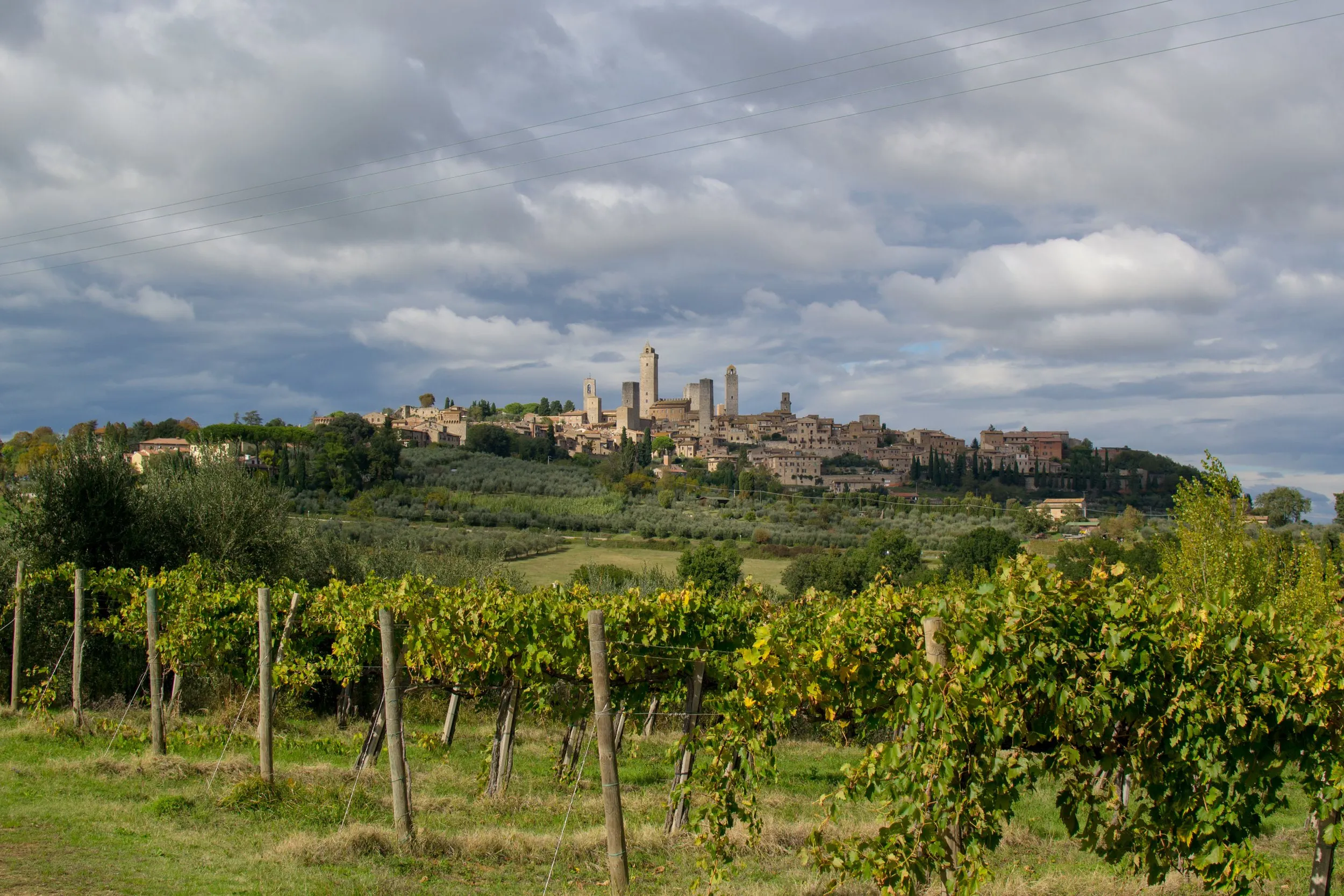 San Gimignano mit seinen Türmen auf einem Hügel über Weinbergen